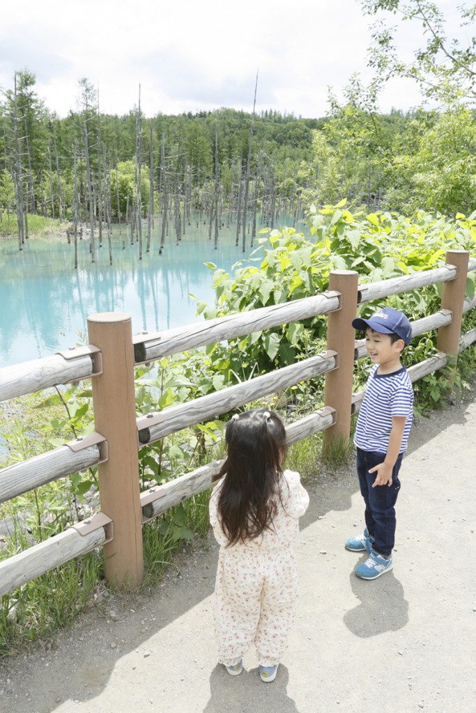 ちょっと足を伸ばして富良野・美瑛に